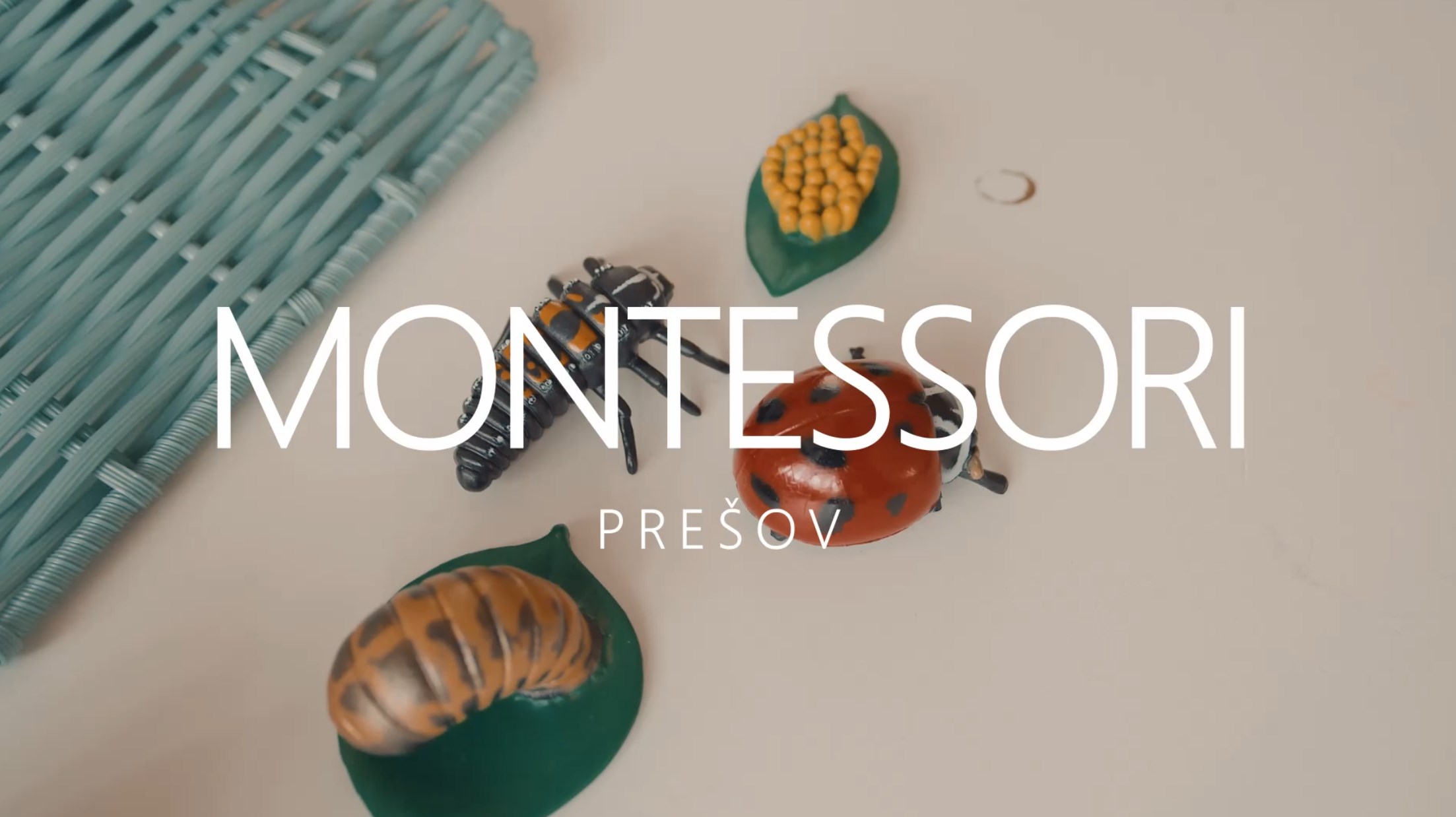 Montessori cesta o.z.